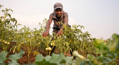 Malawian farmer with his crops