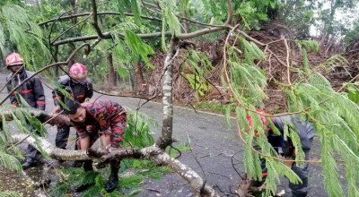 Rescuers clearing a road near Cox's Bazar, Bangladesh, after Cyclone Mocha. 
