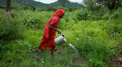 Women make up two thirds of the global agricultural workforce