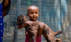 Young child holding goat 
