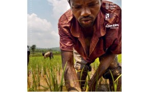 Abraham Bizimana clears a paddy field of weeds and algae, paddy fields of the Mwogo Valley cooperative, Rwanda. Daniel Pilar/ Welthungerhilfe 2014.