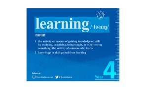 ZFRA Year 4 Learning Report